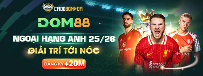 Dom88 – Đăng ký chơi cá độ bóng đá thưởng đến +20M