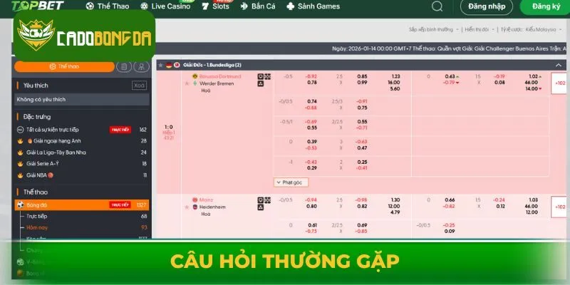 Câu hỏi thường gặp